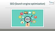 Seo (search engine optimization)