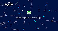 Everything about the Whatsapp Business App | PayKun Blog