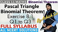 NCERT Exercise 8.1 Binomial Theorem Class 11 Maths Chapter 8