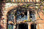 Beelitz Heilstätten: Die Ruinen und der Baumwipfelpfad