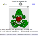 Virtual Frog Dissection Kit