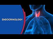 Endocrine System Glands | Functions, Hormones and Disorder