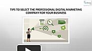 Tips to select the Professional Digital Marketing company for Your Business