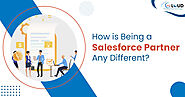 How is Being a Salesforce Partner Different from Other Service Providers?