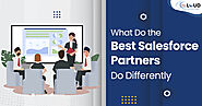 Everything That the Best Salesforce Partners do Differently