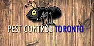 Website at https://awesomepest.blogspot.com/2020/10/pest-control-services.html