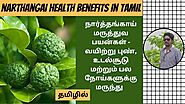 நார்த்தங்காய் மருத்துவ குணங்கள் | Narthangai Health Benefits in Tamil | Digital Naveen