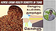 கொள்ளு மருத்துவ பயன்கள் | Kollu Benefits In Tamil | Kollu Maruthuva Payangal | Digital Naveen