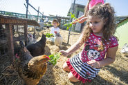 San Jose: Urban farm connects people to each other and the earth