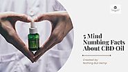 Five Mind Numbing Facts About CBD Oil - Nothing But Hemp