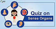 Quiz on Human Sense Organs - Quiz Orbit