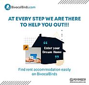 Find rent accommodation easily on bivocalbirds