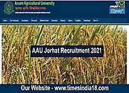 Assam Agricultural University Jorhat 2021- 22 Various Vacant Posts - Times India18.com