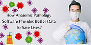 How Anatomic Pathology Software Provides Better Data To Save Lives? | by 4w Technologies | Jan, 2022 | Medium