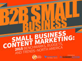 B2B Small Business Marketers: Increased Focus on Leads and Conversion [New Research]