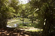 Exploring Lunuganga Garden