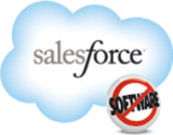 SalesForce - CRM and Cloud Computing To Grow Your Business