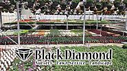 Best Lawn Care Service In Toledo | Black Diamond