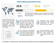 Food Encapsulation Market Size, Share, Global Trends, and Forecasts to 2026
