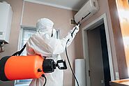 WHAT TO EXPECT DURING MOLD REMEDIATION IN A HOUSE?
