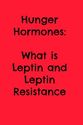 Hunger Hormones: What is Leptin and Leptin Resistance