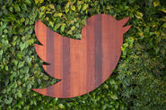 Twitter Taps Partner Data To Help Marketers Target Their Ads