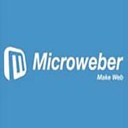 Microweber Web Hosting Services