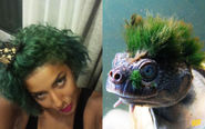 Diandra and the Punk Rock Turtle