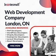 Get Best Web Development Solutions in London, Ontario