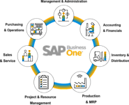 Why Businesses are Opting SAP ERP Systems for their Business Management
