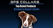 Best GPS Dog Collars Reviews