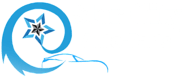 Buy Japanese Genuine Auto Spare Parts In Dubai | StarCityAutos