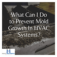 What Can I Do to Prevent Mold Growth In HVAC Systems?