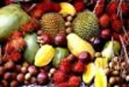 Exotic Fruits