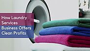 Website at https://washmart.in/blog/how-laundry-services-business-offers-clean-profits/