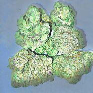 weedforsale · marijuana dispensary · Posts