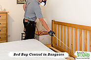 Bed bug pest control in Kolkata