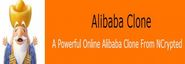 Why we need to set up Alibaba Clone Script to earn online
