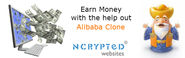 How to earn money with Alibaba Clone script