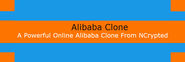 Alibaba Clone script - get entrance to world popular traders