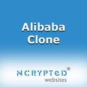 Benefits of buyers and sellers in Alibaba Clone script