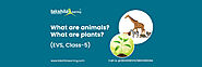 Class 5 EVS Plants and Animals - What are plants and animals?