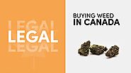 How to Buy Weed Online | Chronic Store