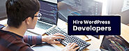 Hire WordPress Developers/Programmers 10+ Experience India