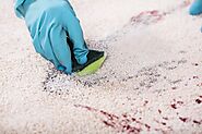 TIPS TO FIND AN EXPERIENCED CARPET AND TILE CLEANER IN GILBERT