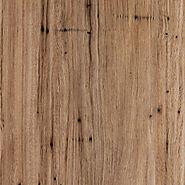 Blackbutt Veneer