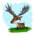 Oisin the Deer