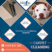 Carpet Cleaning Service in Melbourne at Masters of Steam and Dry Cleaning