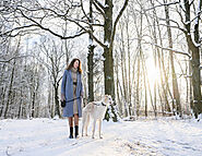 Winter Safety Tips for Dogs: Obedience Training for Cold Weather Walks