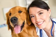 Get Quality Pets Care at Animal Hospital in Windsor